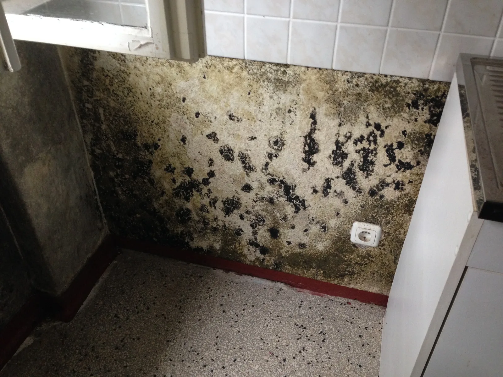 Schwerer Schimmelbefall an einer Küchenwand